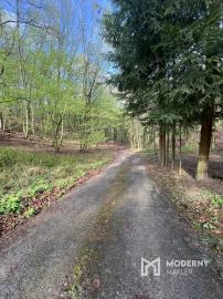 Na predaj pozemok na výstavbu chaty - domu v krásnom prostredí obklopený lesom v oblasti Drietoma - Javorové pri Trenčíne.