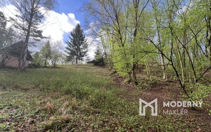 Na predaj pozemok na výstavbu chaty - domu v krásnom prostredí obklopený lesom v oblasti Drietoma - Javorové pri Trenčíne.
