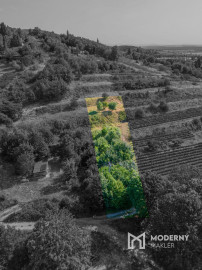 Na predaj slnečný pozemok s jedinečným výhľadom v Modre