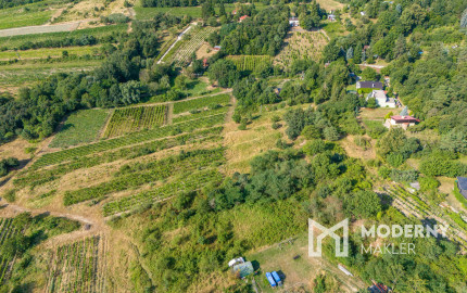 Na predaj slnečný pozemok s jedinečným výhľadom v Modre