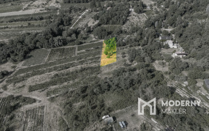 Na predaj slnečný pozemok s jedinečným výhľadom v Modre