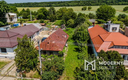 Na predaj obrovský pozemok v obci Moravany-Lučkovce v okrese Michalovce.
