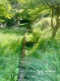 Exkluzívna ponuka Pozemkov (lesy, pasienky, lúky) v k.ú. Šípkov, okr. Bánovce n/B