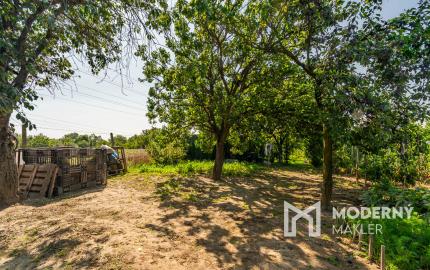 Na predaj záhrada v lokalite Sereď