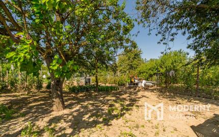 Na predaj záhrada v lokalite Sereď