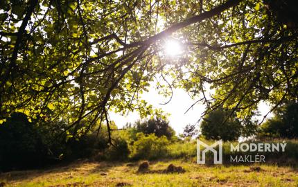 Na predaj investičný pozemok so stavebným povolením Vydrná