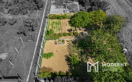 Na predaj záhrada v lokalite Sereď