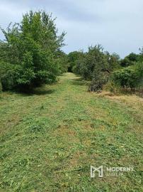 Prašice - starý vidiecky dom s veľkým pozemkom na predaj