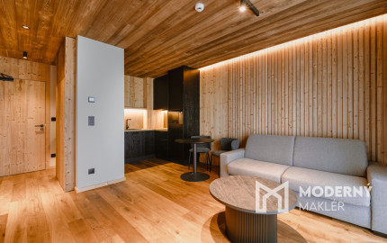 Exkluzívny  Apartmán v hotelovom komplexe s najlepším výhľadom priamo u lanovky - Apartmán Elements, Tatranská Lomnica - Vysoké Tatry