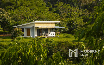 Na predaj pozemok v Kostarike na polostrove Osa