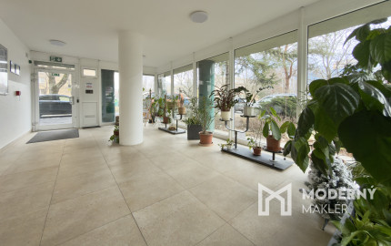 3-izbový byt v "Palušáku", Ružová dolina