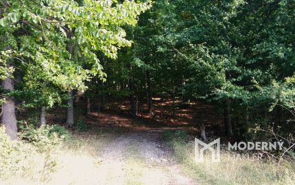 Exkluzívna ponuka Pozemkov (lesy, pasienky, lúky) v k.ú. Šípkov, okr. Bánovce n/B