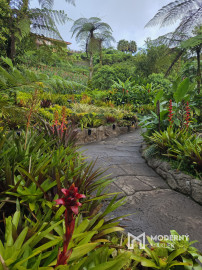 Na predaj investičná 3-izbová vila na polostrove Osa na Kostarike