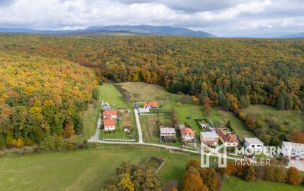 Lukratívna ponuka pozemku v obci Brezolupy 8040m2