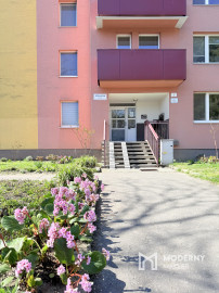 Dokonalý priestor pre vaše nápady, Azalková, Ružinov