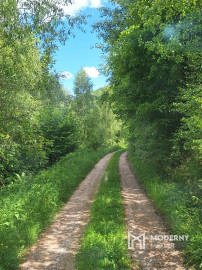 Na predaj dom v lese, blízko mesta Kokava nad Rimavicou