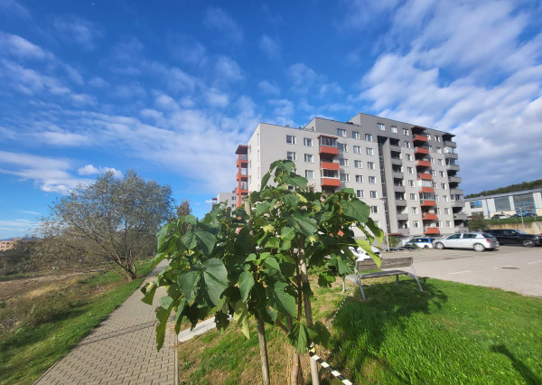 PREDANÝ 2 IZBOVÝ, 65 m2 BYT NA LIPTOVSKEJ ULICI V TRENČÍNE