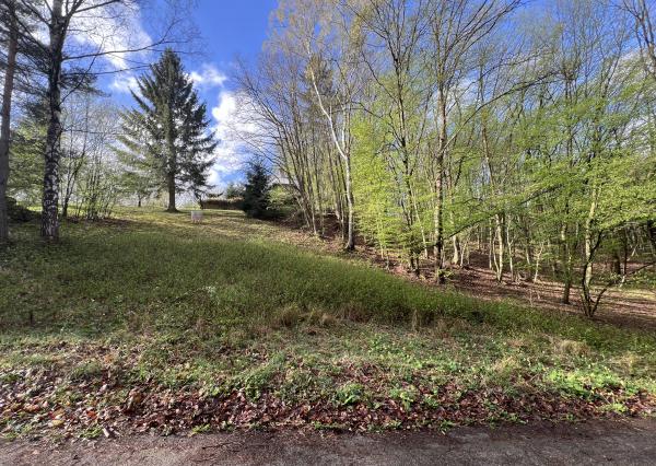 Na predaj pozemok na výstavbu chaty - domu v krásnom prostredí obklopený lesom v oblasti Drietoma - Javorové pri Trenčíne.