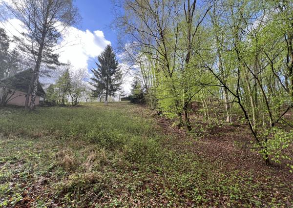 Na predaj pozemok na výstavbu chaty - domu v krásnom prostredí obklopený lesom v oblasti Drietoma - Javorové pri Trenčíne.