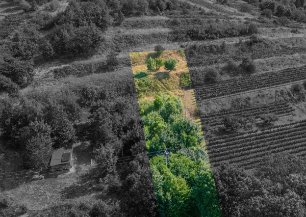 Na predaj slnečný pozemok s jedinečným výhľadom v Modre