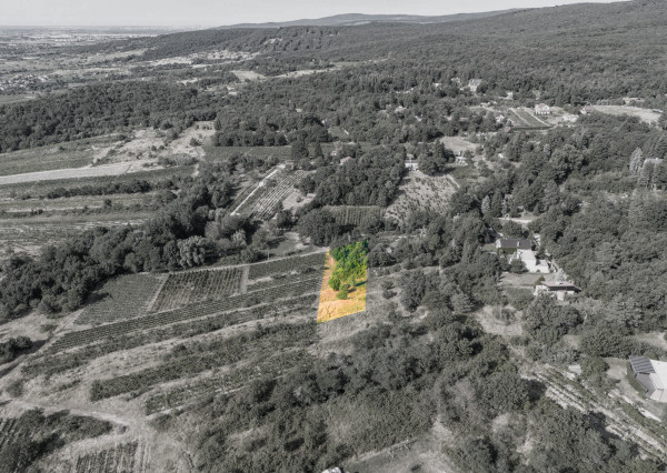 Na predaj slnečný pozemok s jedinečným výhľadom v Modre