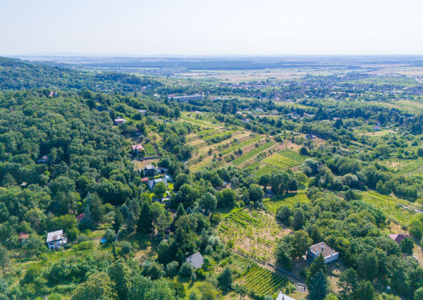 Na predaj slnečný pozemok s jedinečným výhľadom v Modre