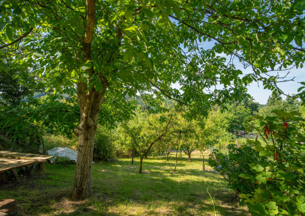 Na predaj rekreačný pozemok so záhradnou chatou v Stupave