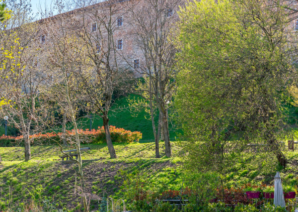 Na predaj priestranný 4-izbový byt pod hradom v centre Bratislavy