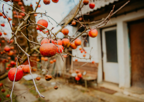 PREDANÉ: Na predaj priestranný rodinný dom v obci Beluša