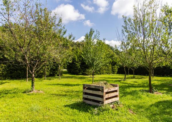 Na predaj 4-izbový rodinný dom v Moravskom Lieskovom