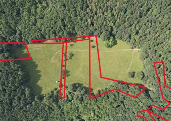 Exkluzívna ponuka Pozemkov (lesy, pasienky, lúky) v k.ú. Šípkov, okr. Bánovce n/B