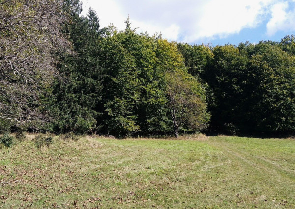 Exkluzívna ponuka Pozemkov (lesy, pasienky, lúky) v k.ú. Šípkov, okr. Bánovce n/B