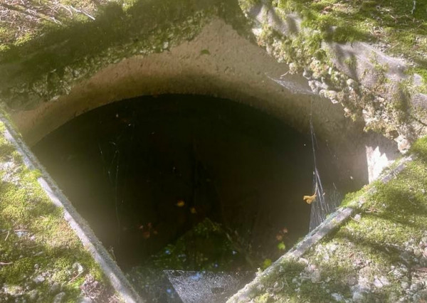 Exkluzívna ponuka Pozemkov (lesy, pasienky, lúky) v k.ú. Šípkov, okr. Bánovce n/B