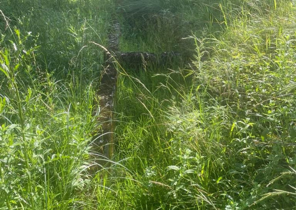 Exkluzívna ponuka Pozemkov (lesy, pasienky, lúky) v k.ú. Šípkov, okr. Bánovce n/B