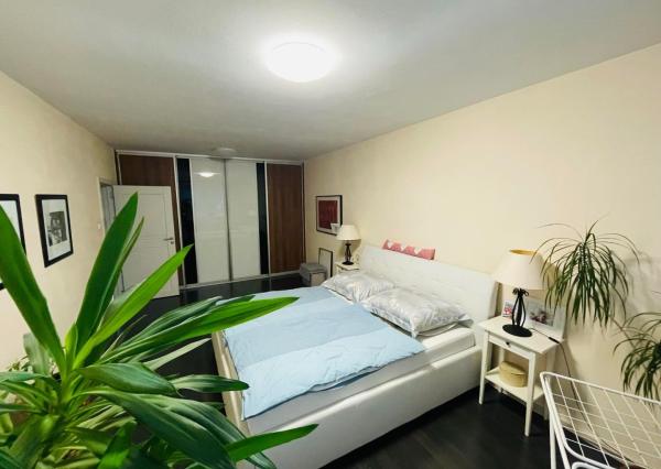 Na prenájom krásny veľký 3i byt Bánovce n/B/Dubnička s loggiou,pivnicou