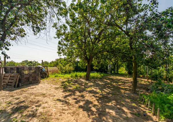 Na predaj záhrada v lokalite Sereď