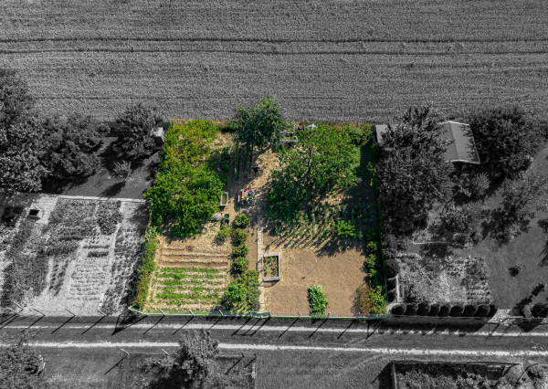 Na predaj záhrada v lokalite Sereď