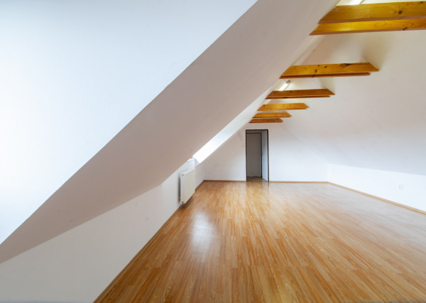 Na predaj priestranný rodinný dom s veľkým pozemkom v Loku pri Leviciach