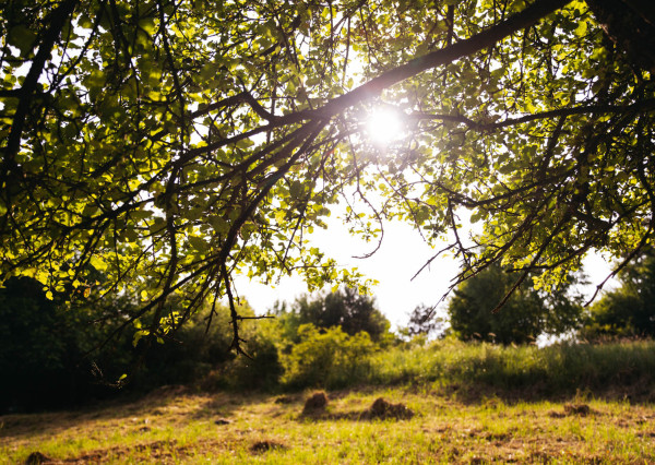 Na predaj investičný pozemok so stavebným povolením Vydrná