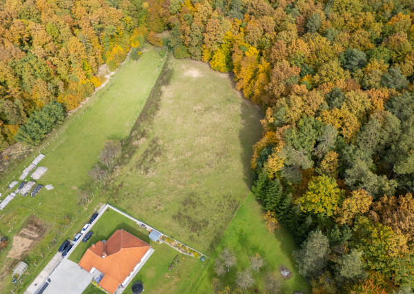 Lukratívna ponuka pozemku v obci Brezolupy 8040m2