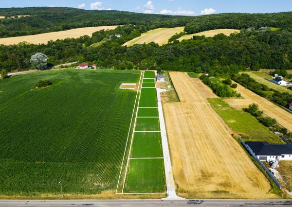 Na predaj pozemky určené na výstavbu rodinných domov v obci Sokolovce