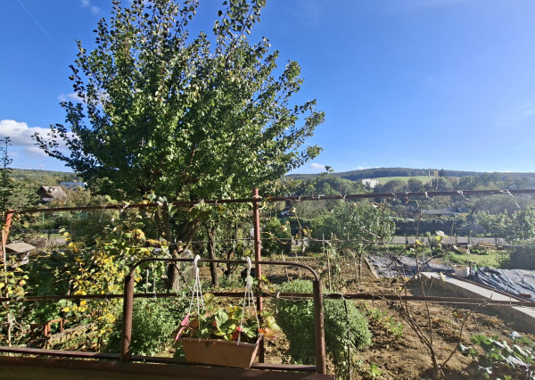 Na predaj chata so záhradou v Bánovciach nad Bebravou