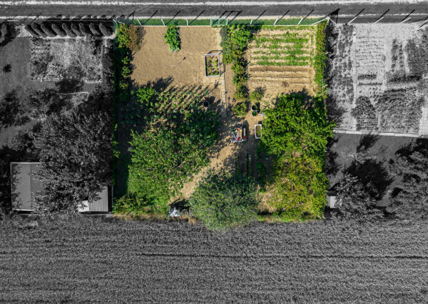 Na predaj záhrada v lokalite Sereď