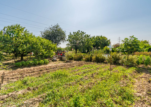 Na predaj záhrada v lokalite Sereď