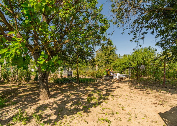 Na predaj záhrada v lokalite Sereď