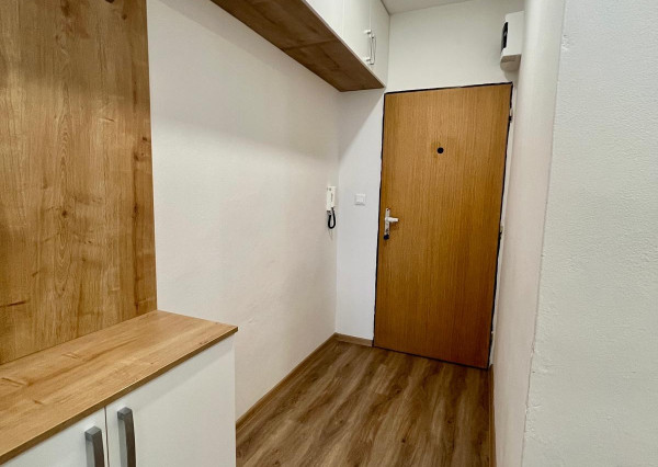 Na prenájom vkusne prerobený 1-izbový byt v Trenčíne