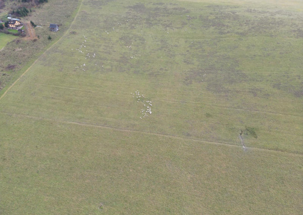 Na predaj pozemok v Žilinskej Lehote