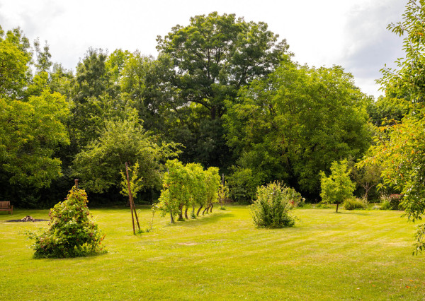 REZERVOVANÉ: Na predaj priestranný dom s veľkým pozemkom v Pobedime