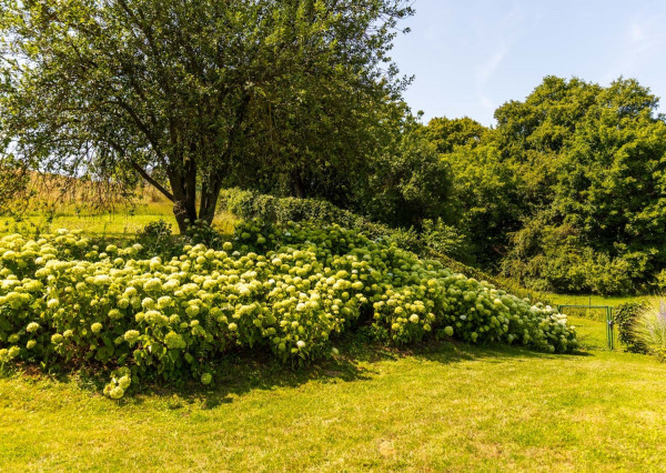 Na predaj impozantný rodinný dom v Ivanovciach