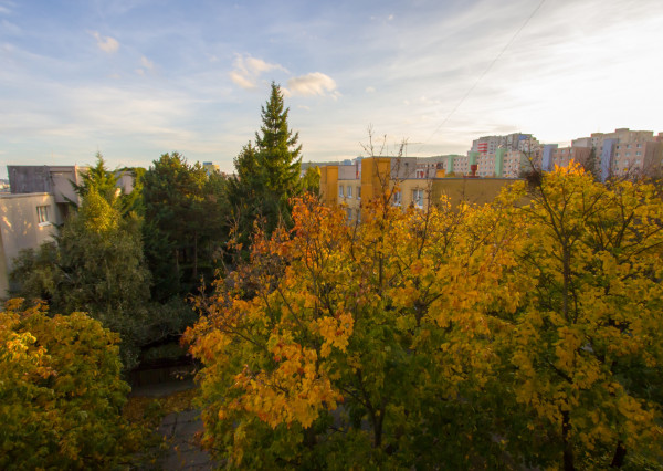 Na predaj investičný 1-izbový  byt Bratislave-Dúbravka